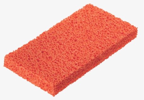 Detail Sponge Transparent Background Nomer 16