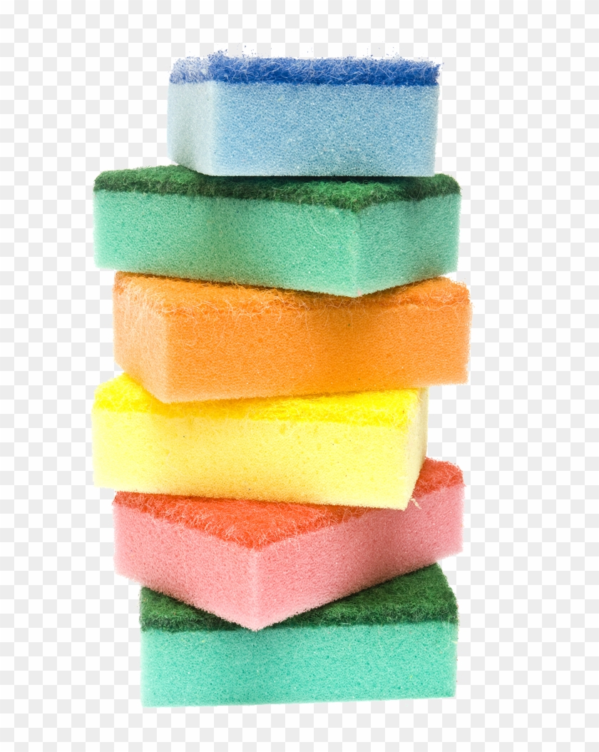 Detail Sponge Transparent Background Nomer 18