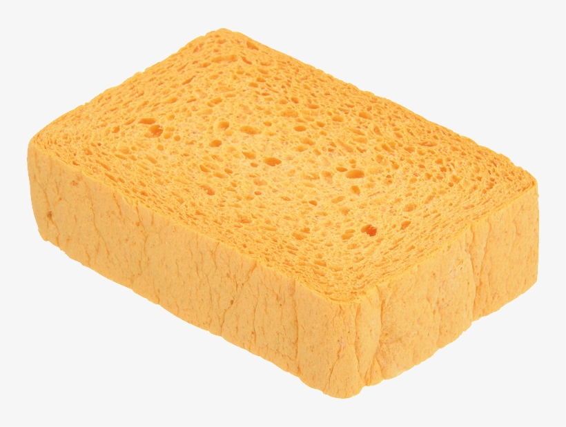 Detail Sponge Transparent Background Nomer 19