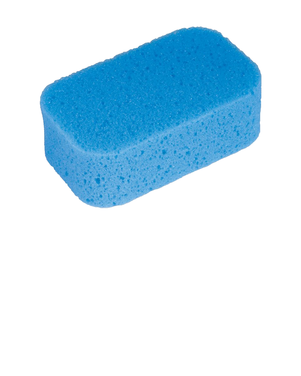 Detail Sponge Transparent Background Nomer 20