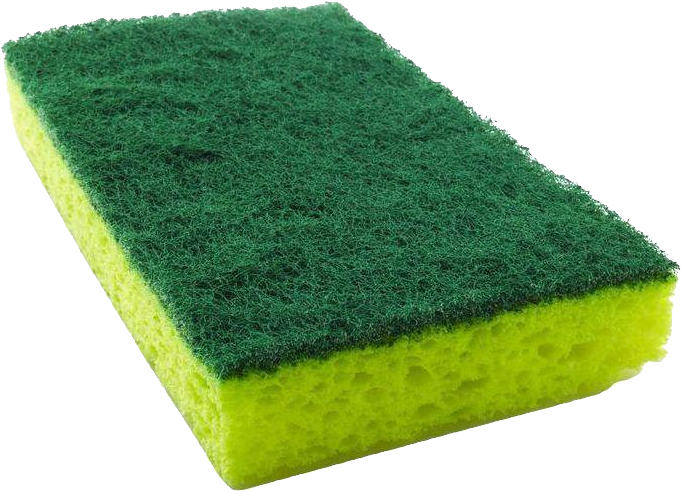 Detail Sponge Transparent Background Nomer 21