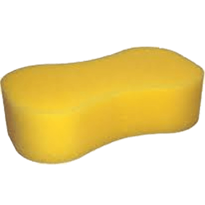 Detail Sponge Transparent Background Nomer 24