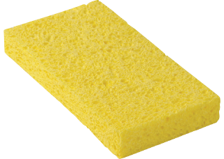 Detail Sponge Transparent Background Nomer 26