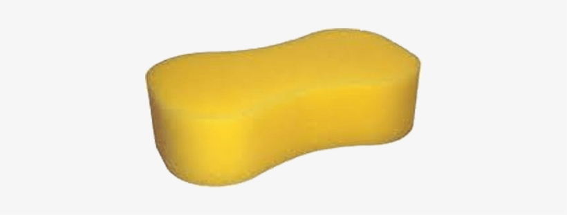 Detail Sponge Transparent Background Nomer 27