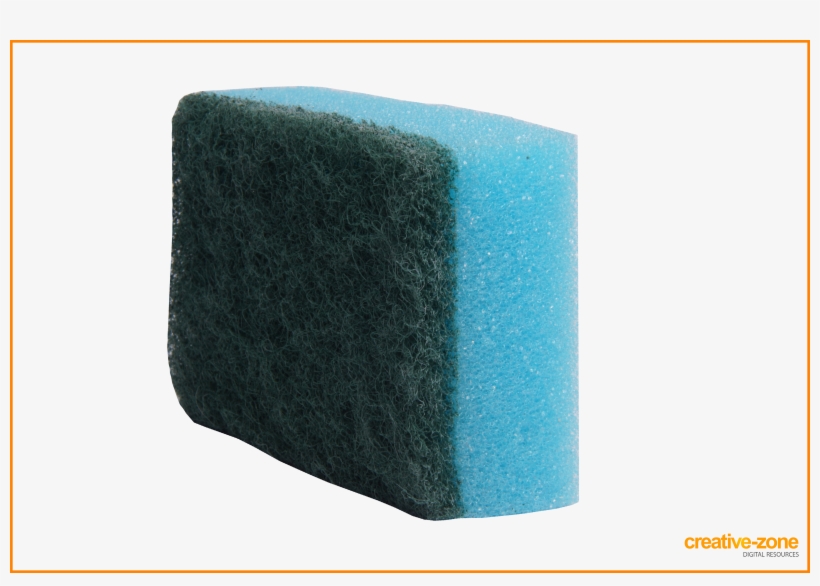 Detail Sponge Transparent Background Nomer 30