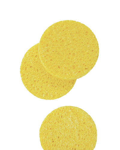 Detail Sponge Transparent Background Nomer 31