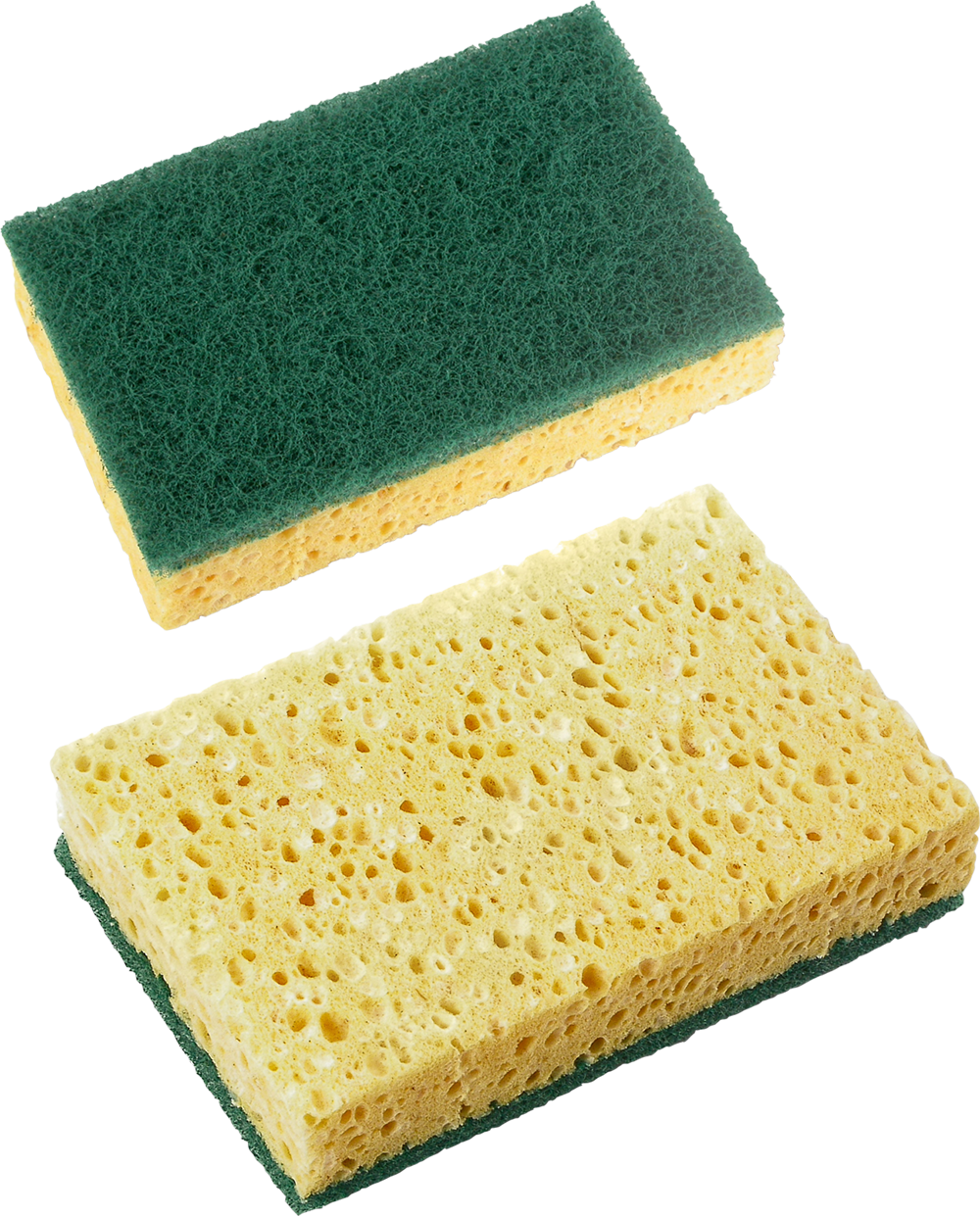 Detail Sponge Transparent Background Nomer 32