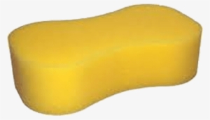 Detail Sponge Transparent Background Nomer 33