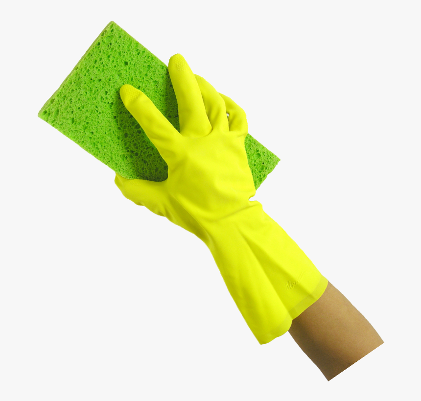 Detail Sponge Transparent Background Nomer 34