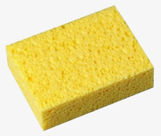 Detail Sponge Transparent Background Nomer 4