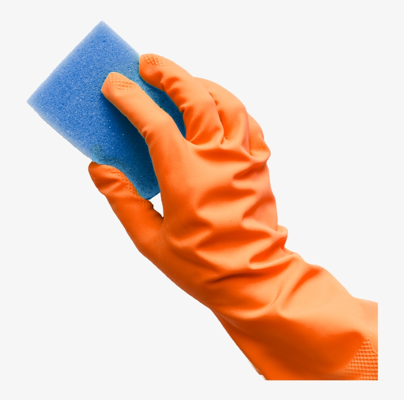 Detail Sponge Transparent Background Nomer 42