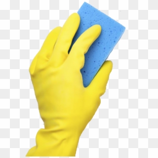 Detail Sponge Transparent Background Nomer 43