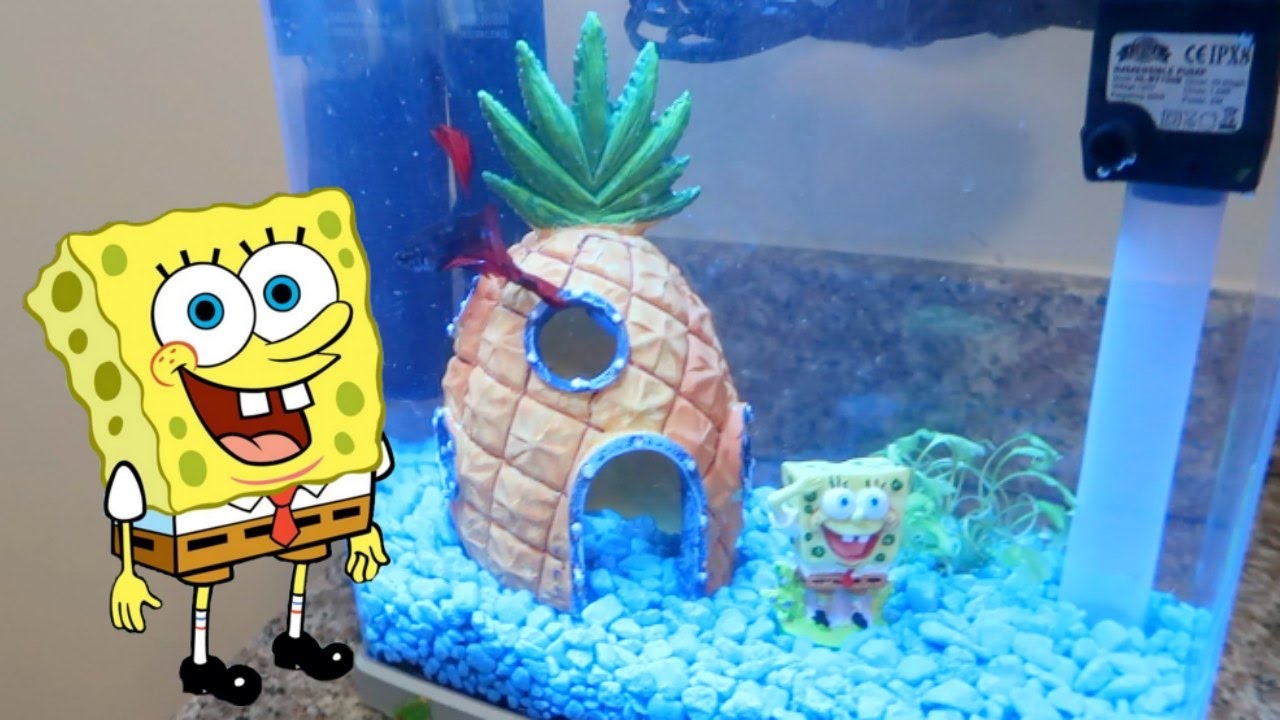 Detail Spongebob Aquarium Kit Nomer 19