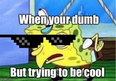 Detail Spongebob Bird Meme Generator Nomer 32