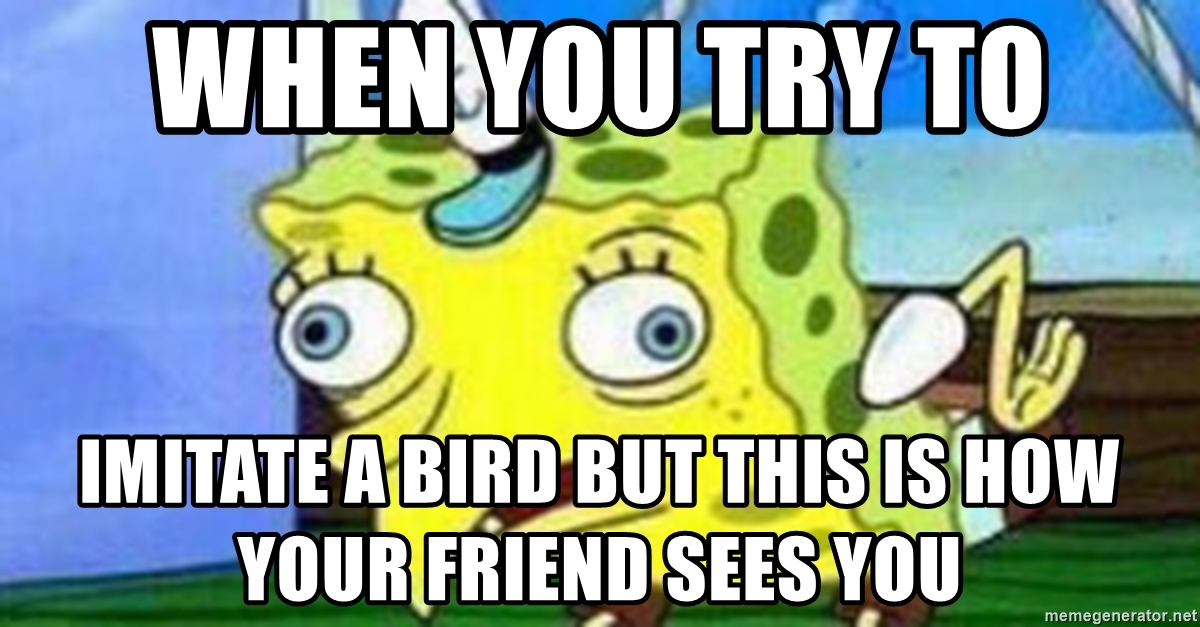 Detail Spongebob Bird Meme Generator Nomer 37