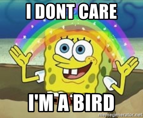 Detail Spongebob Bird Meme Generator Nomer 40