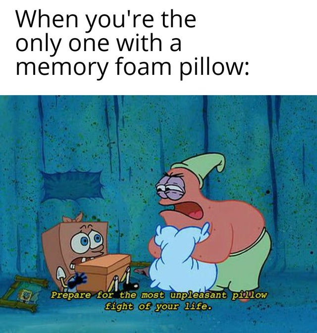 Detail Spongebob Body Pillow Meme Nomer 30