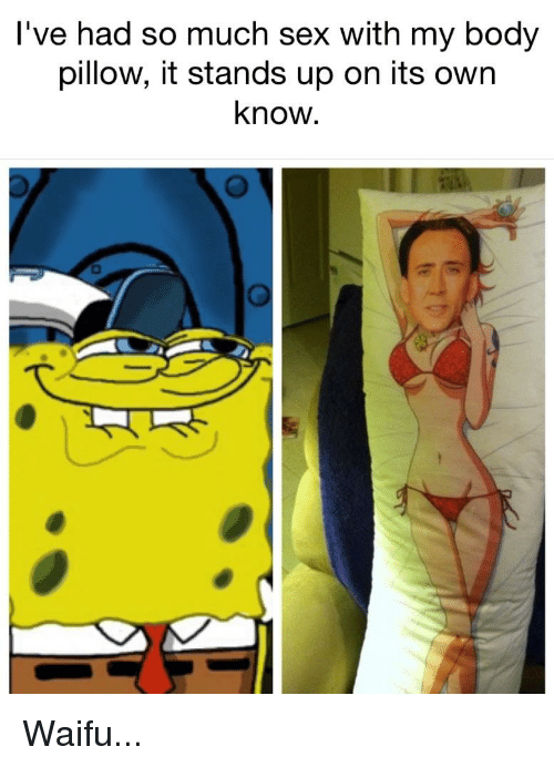 Detail Spongebob Body Pillow Meme Nomer 44