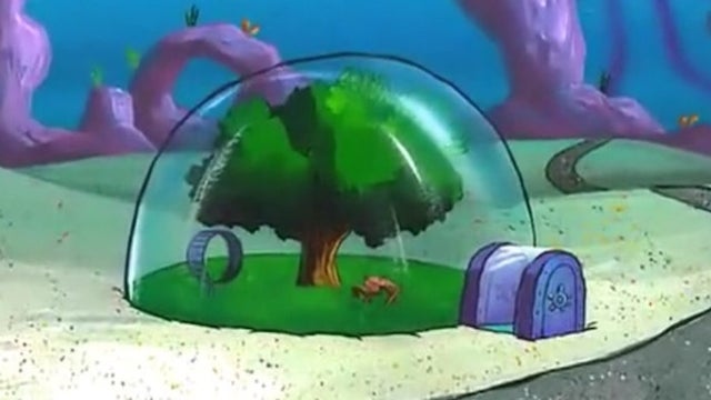 Detail Spongebob Lightbulb Nomer 22