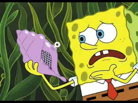 Detail Spongebob Magic Conch No Nomer 11