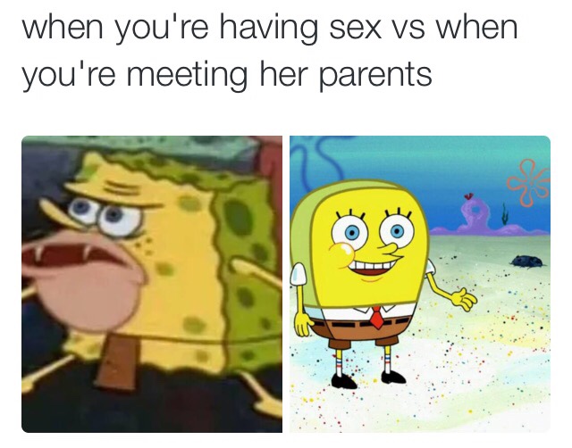 Detail Spongebob Meme Hi How Are Ya Nomer 3