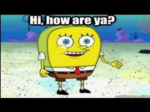 Detail Spongebob Meme Hi How Are Ya Nomer 5