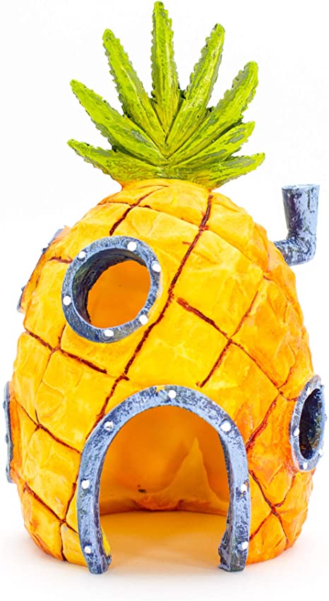 Detail Spongebob Pineapple Aquarium Nomer 4