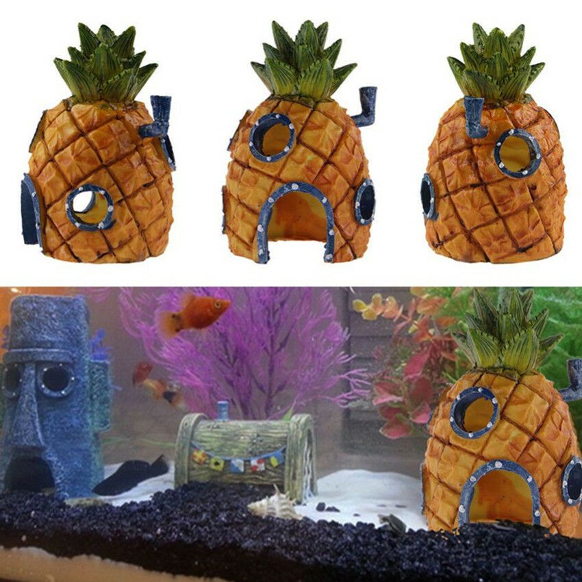 Detail Spongebob Pineapple Aquarium Nomer 5