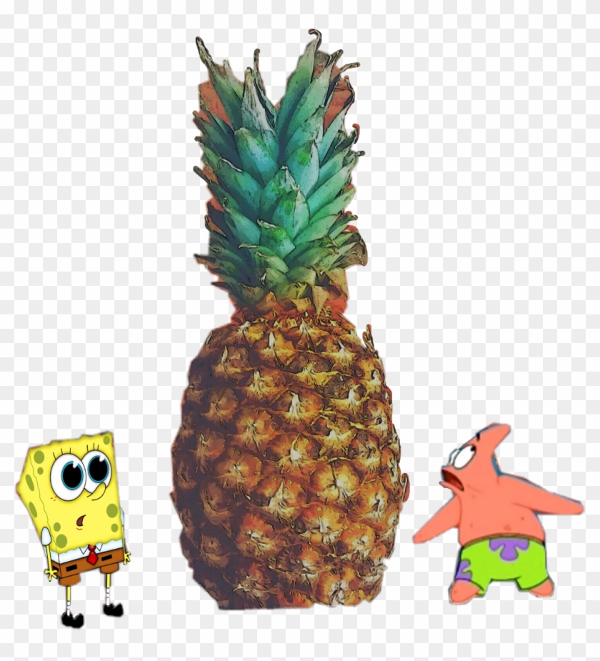 Detail Spongebob Pineapple Clipart Nomer 22