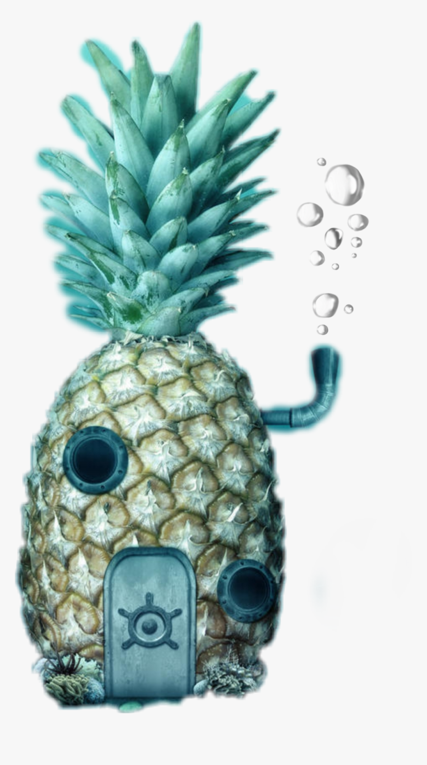 Download Spongebob Pineapple Png Nomer 24