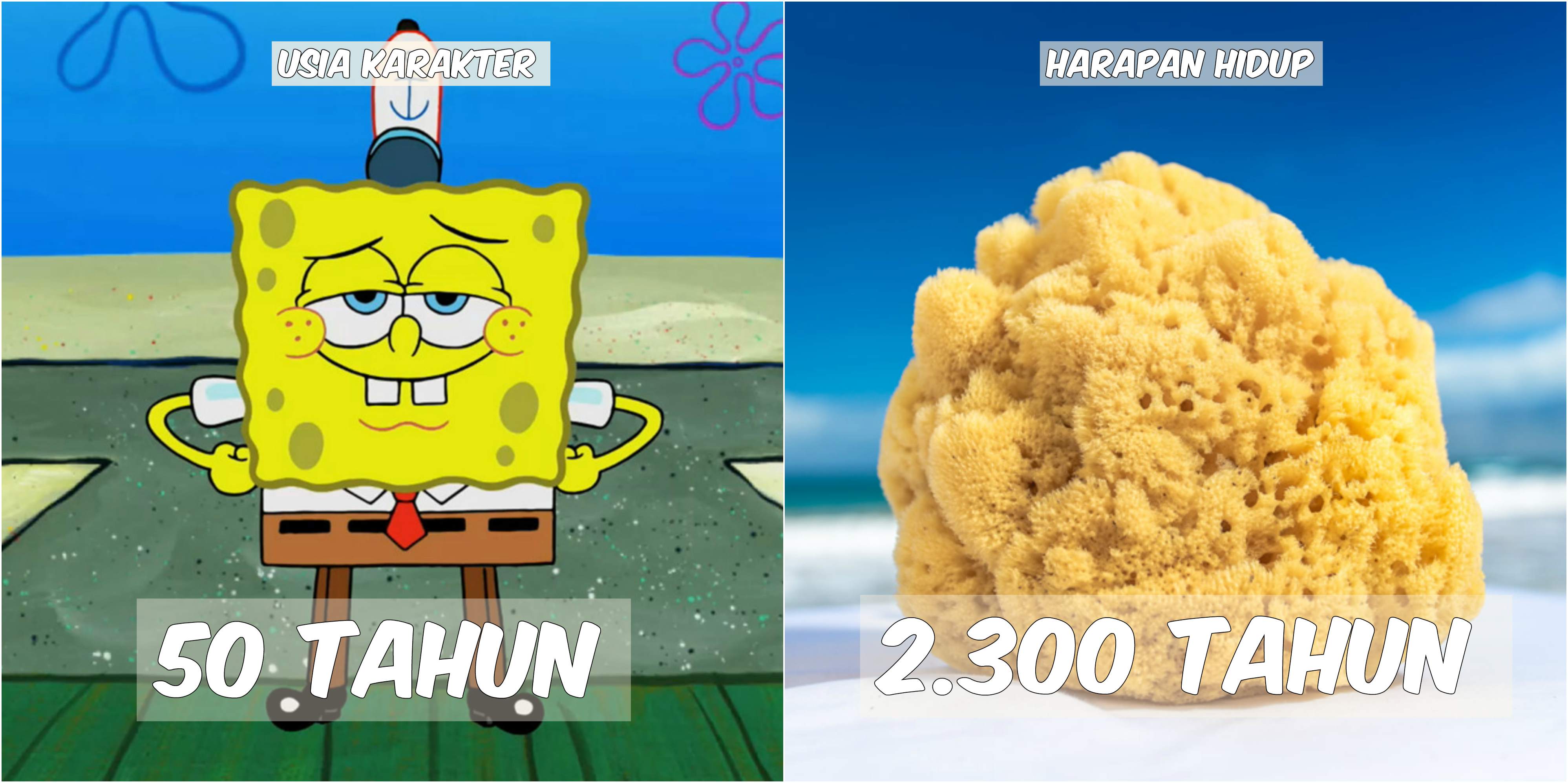 Detail Spongebob Quotes Indonesia Nomer 25