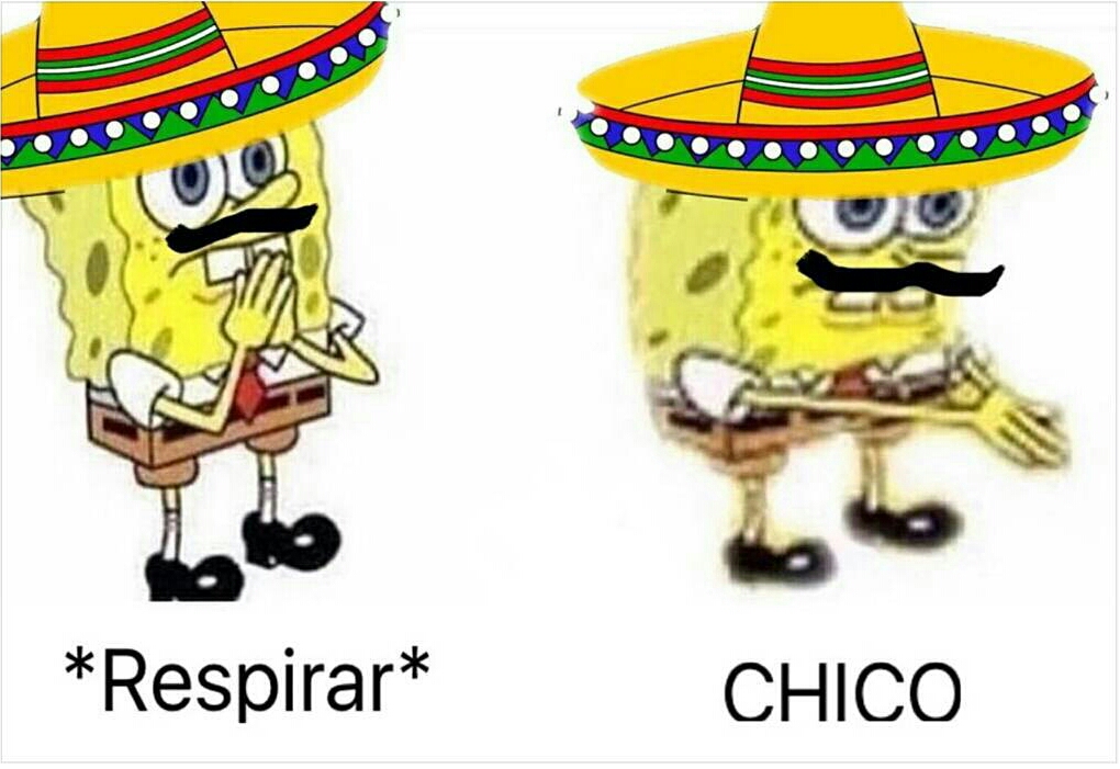 Detail Spongebob Sombrero Nomer 19