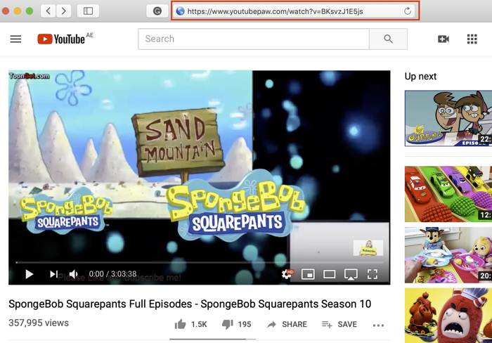 Detail Spongebob Squarepants Complete Series Download Nomer 52