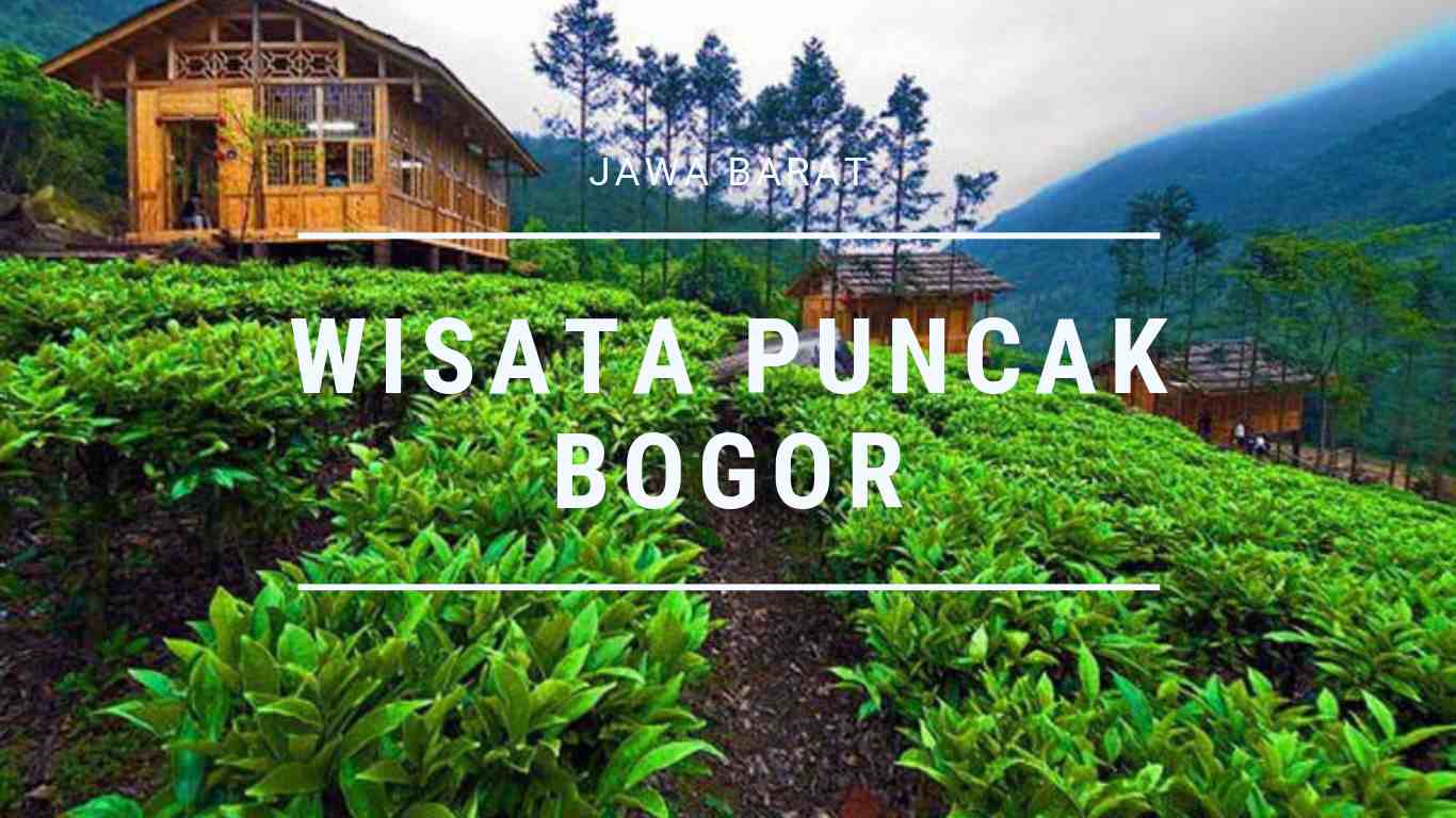 Spot Foto Di Puncak Bogor - KibrisPDR