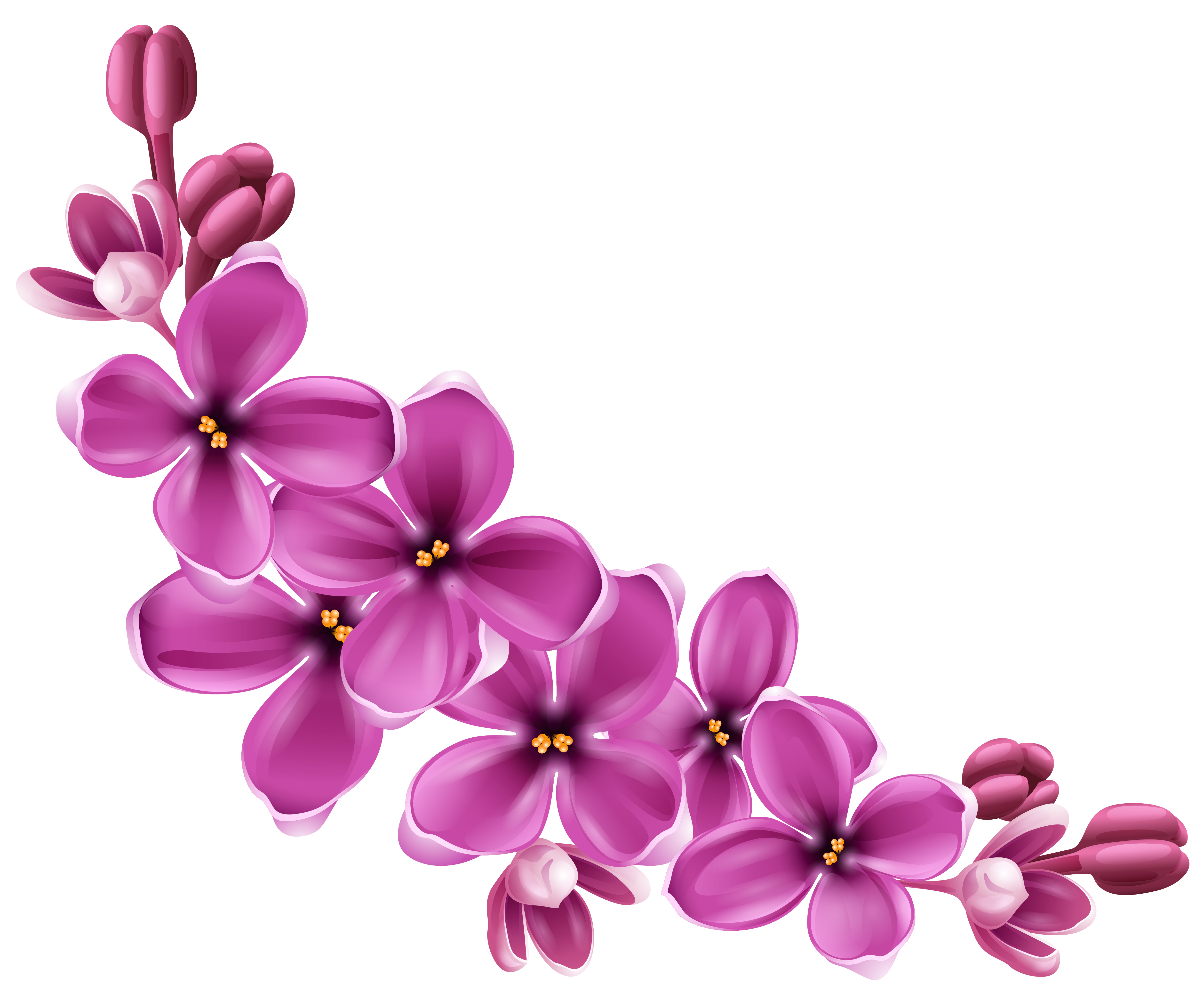 Detail Spring Flower Png Nomer 11