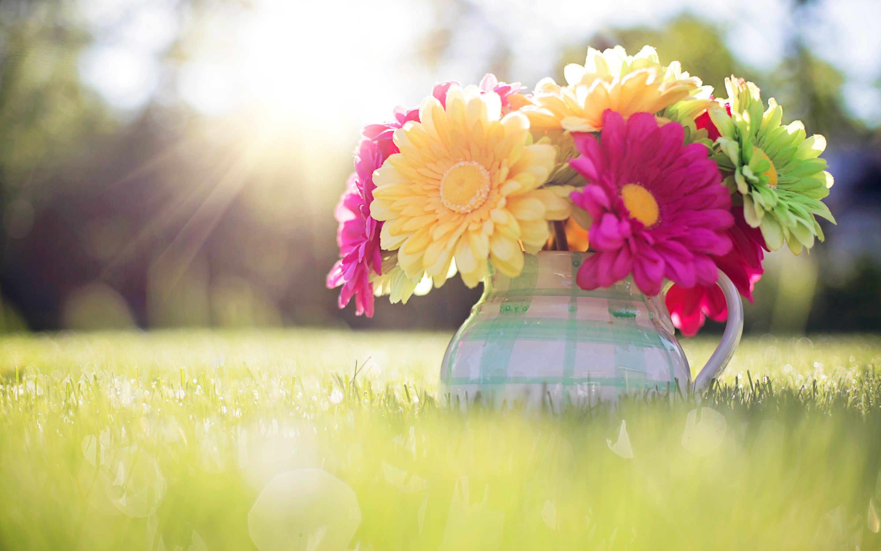 Detail Spring Wallpaper Hd Nomer 28