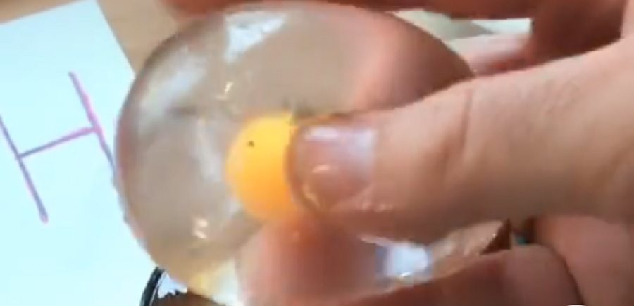 Detail Sprite Egg Skittles Nomer 10