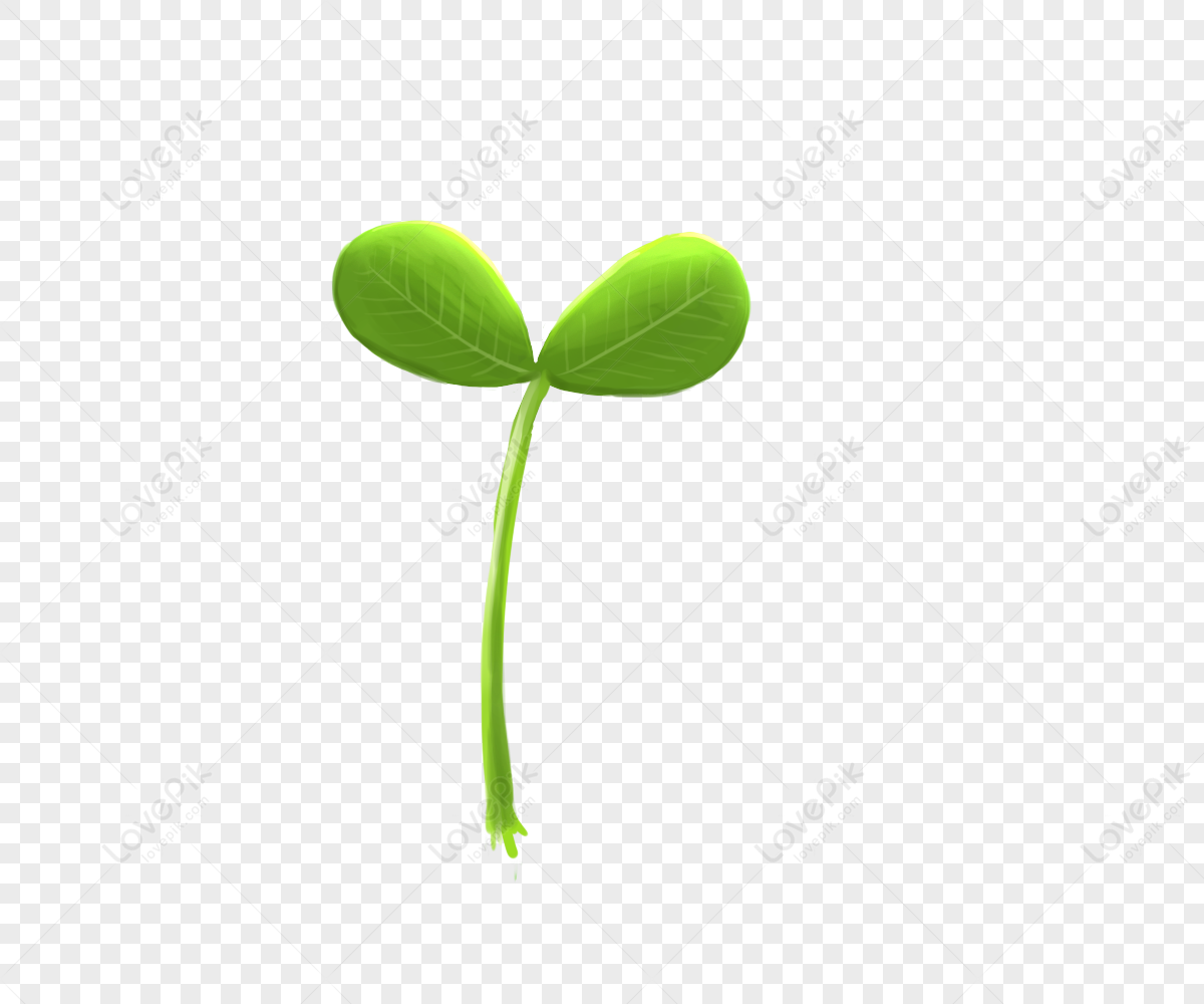 Detail Sprout Png Nomer 3