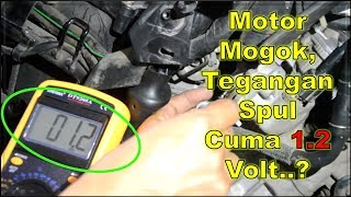 Detail Spul Motor Yang Bagus Nomer 13