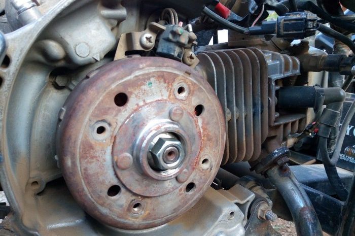Detail Spul Motor Yang Bagus Nomer 25