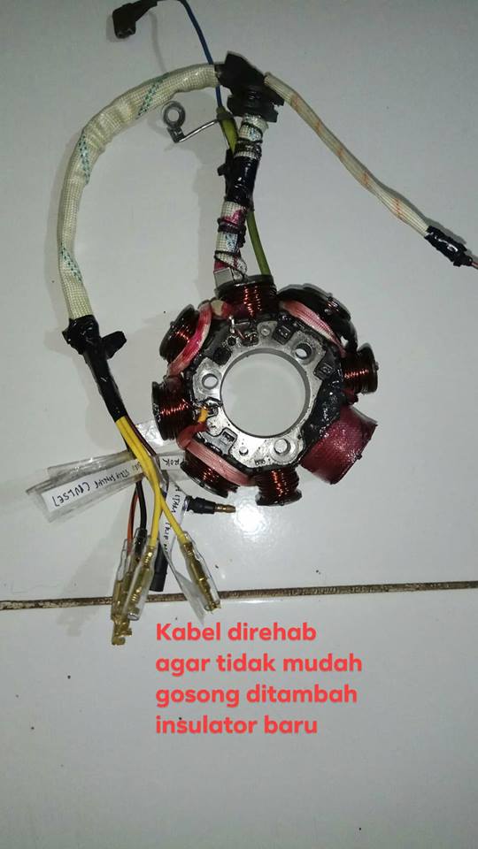 Detail Spul Motor Yang Bagus Nomer 35