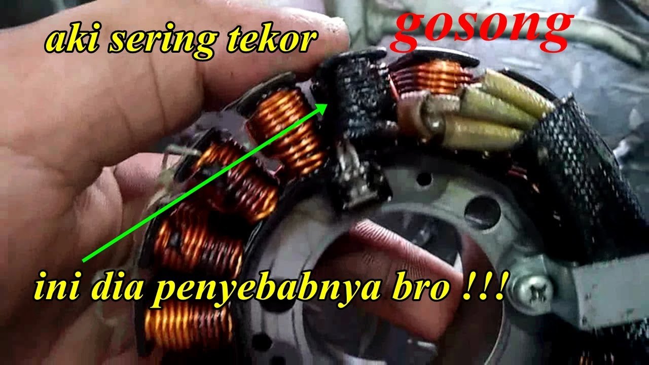 Detail Spul Motor Yang Bagus Nomer 39