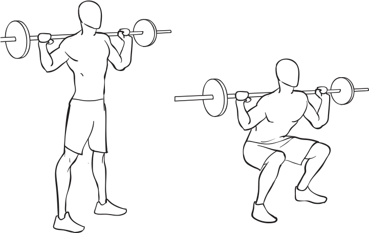 Detail Squat Png Nomer 16