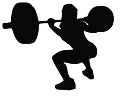 Detail Squat Png Nomer 27