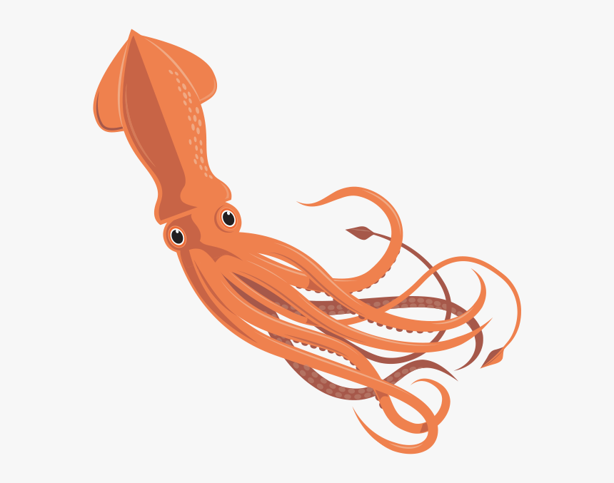 Detail Squid Vector Png Nomer 2