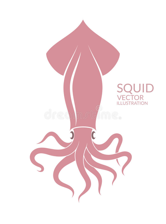 Detail Squid Vector Png Nomer 11