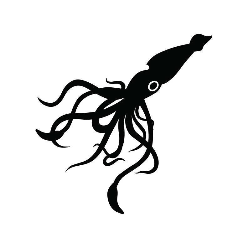 Detail Squid Vector Png Nomer 16