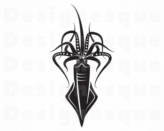 Detail Squid Vector Png Nomer 26