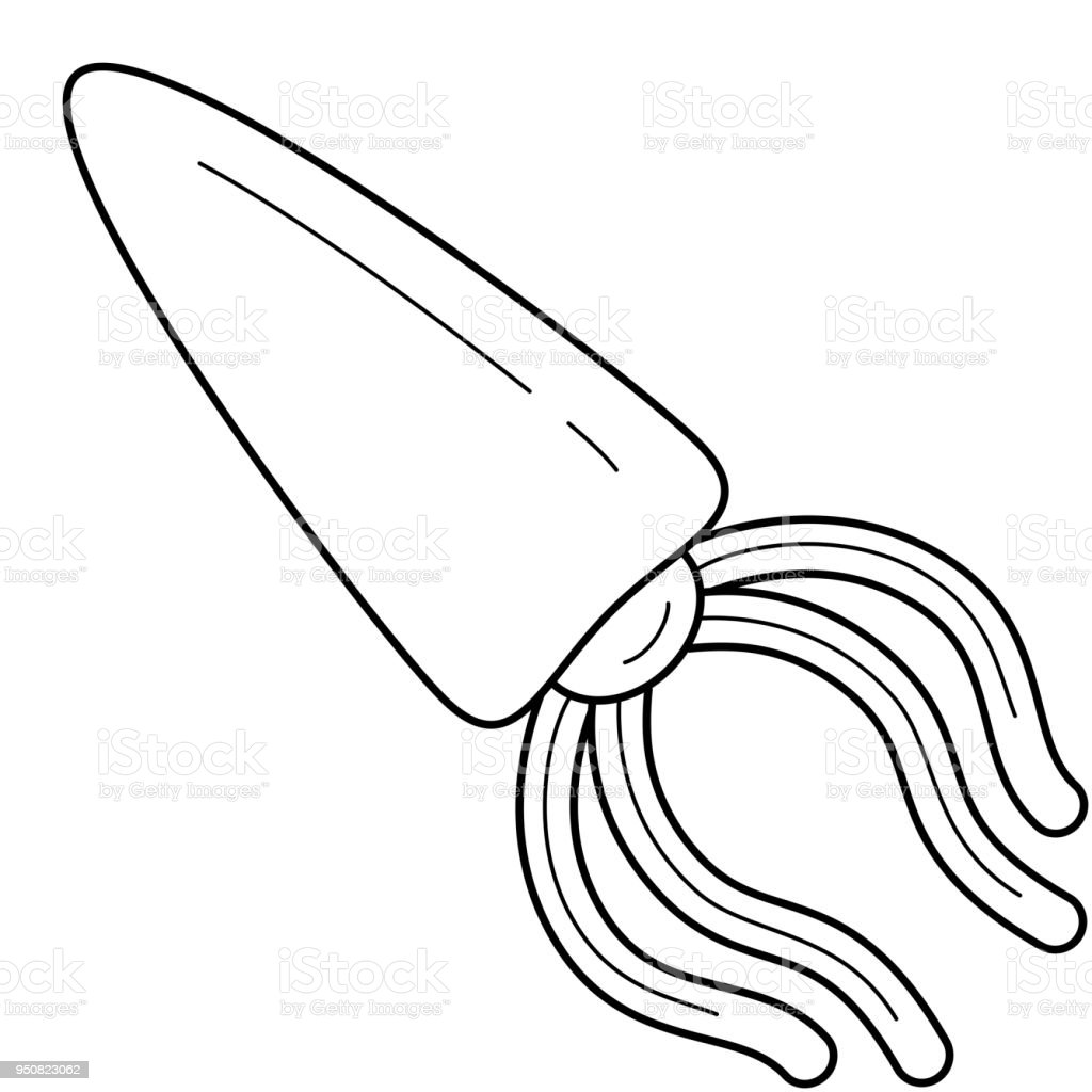 Detail Squid Vector Png Nomer 27