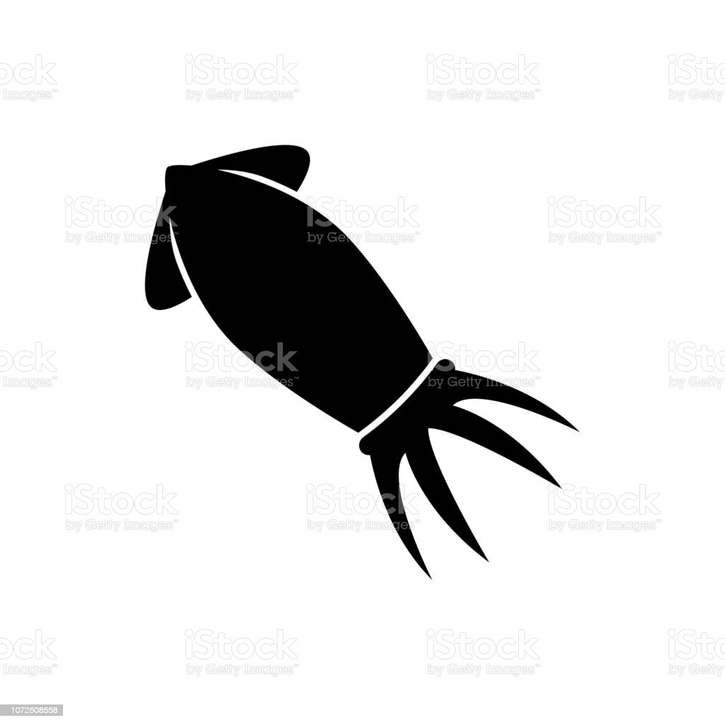 Detail Squid Vector Png Nomer 30